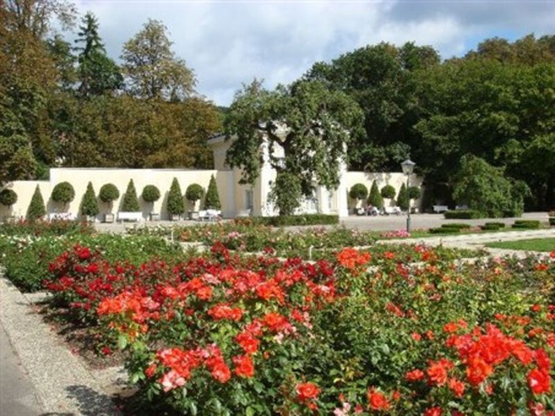 Slavnost růží v Badenu a Schönbrunn 2014