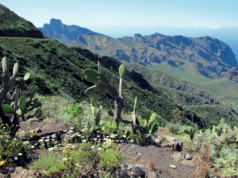 Tenerife S Trekingem - Turistika Mezi Sopkami A Exotickými Soutěskami