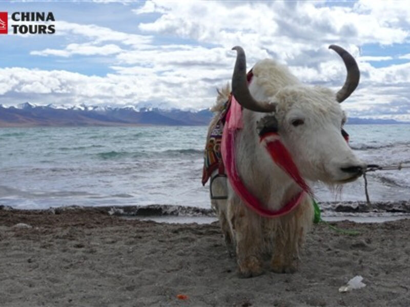 Tibet – Posvátná Hora Kailás