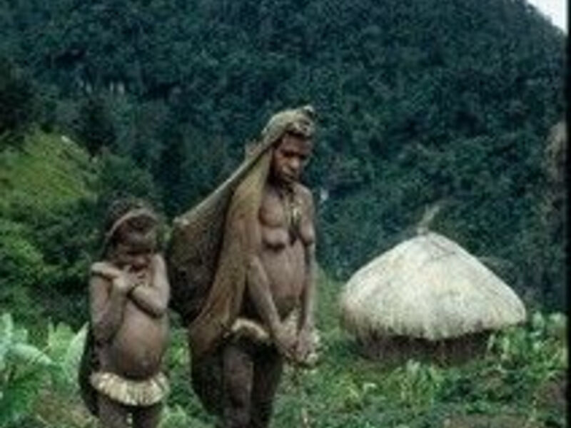 Trek V Údolí Baliem A Poznání Tradičního Života Domorodých Kmenů S Pobytem Na Ostrově Bali - 14 Dní