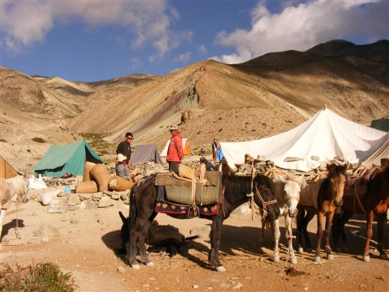 Treking v Ladakhu