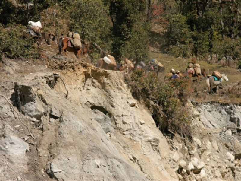 Treking v Sikkimu a Bhútánu