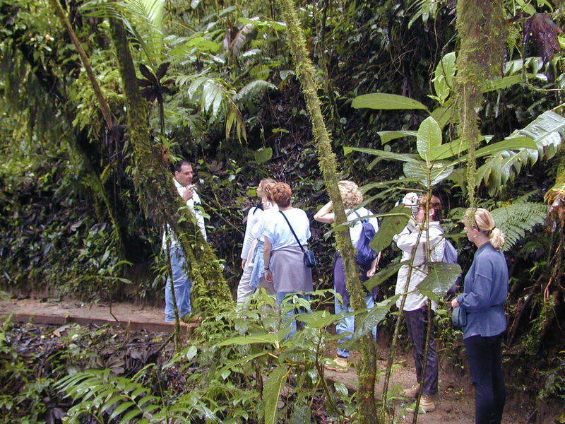 Trekking Na Kostarice - 9 Dní