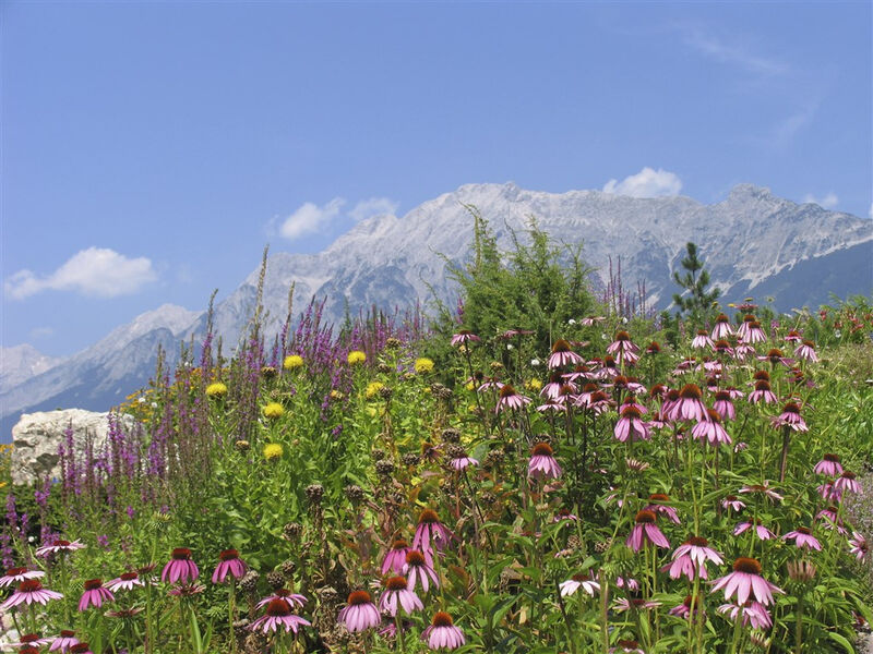 Tyrolské květinové korzo