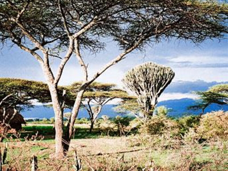Velký Okruh Etiopií