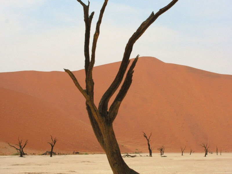 Velký okruh Namibií