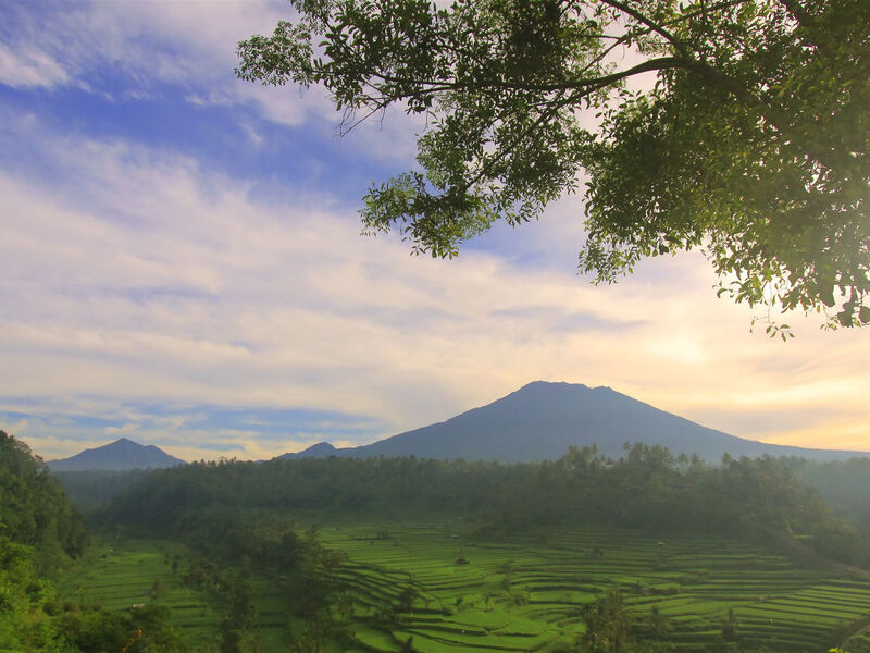 Z Bali Až Na Ostrovy Draků - Skutečný Ráj Na Zemi