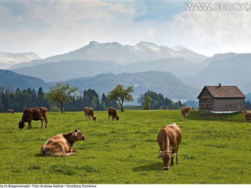 Za Krásami Tyrolska A Vorarlberska