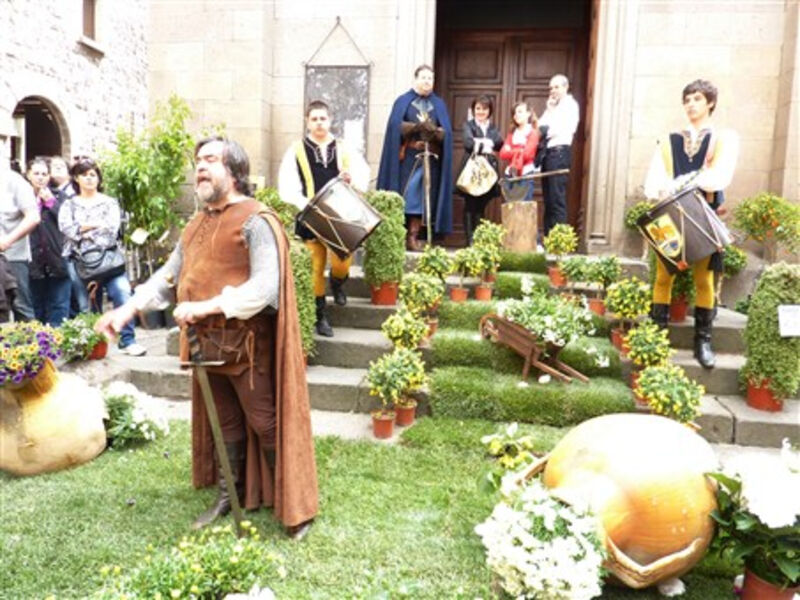 Zahrady krajů Lazio a Toskánsko, Den květin ve Viterbu-2014