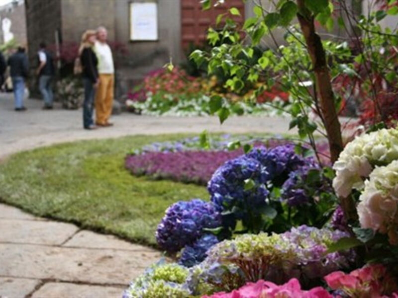 Zahrady krajů Lazio a Toskánsko, Den květin ve Viterbu