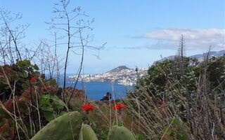 Madeira - květinová a turistická - ilustrační fotografie