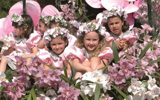 Madeira - Slavnosti květin - ilustrační fotografie