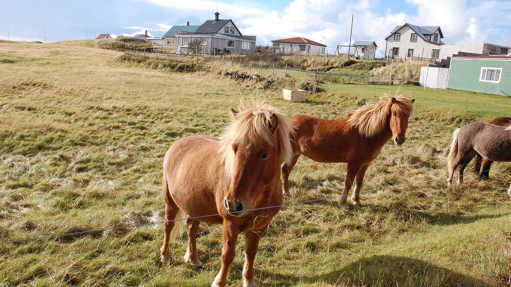 Nejkrásnější Místa Islandu Z Brna - fotografie