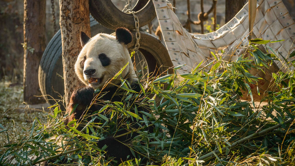 Nejkrásnější Motivy Pekingu A Okolí - fotografie