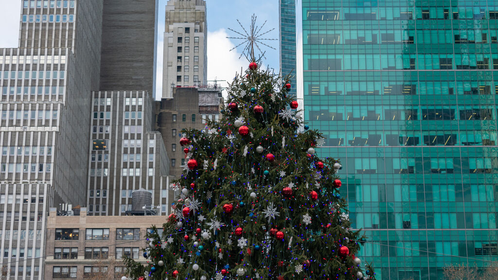 Předvánoční New York - fotografie
