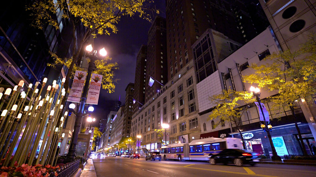 Předvánoční New York - fotografie