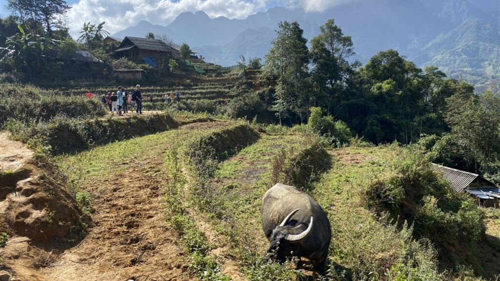 Vietnamem od Mekongu až do Sapy - fotografie