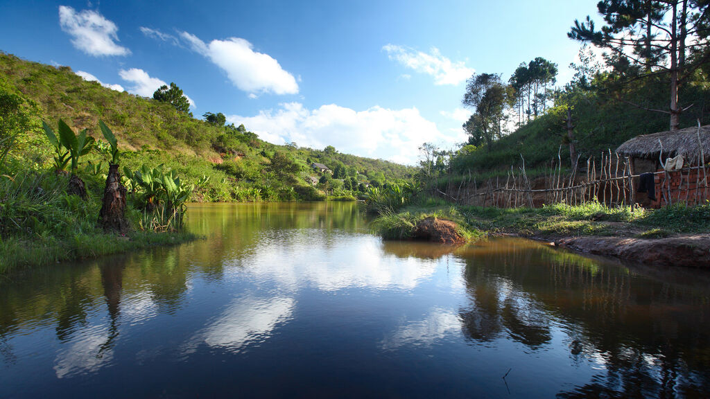 Vítejte Na Madagaskaru - fotografie