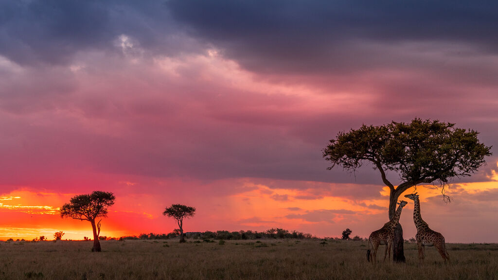 Vzpomínky na Afriku - fotografie