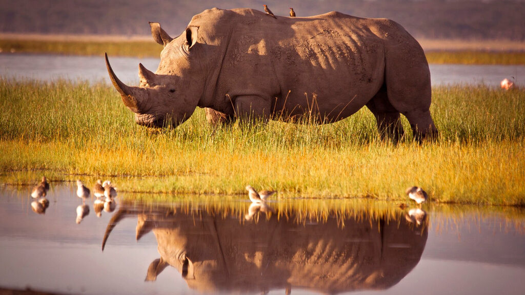 Vzpomínky na Afriku - fotografie