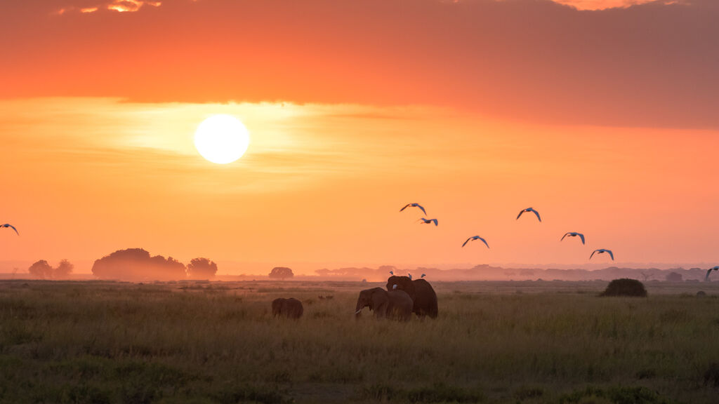 Vzpomínky na Afriku - fotografie