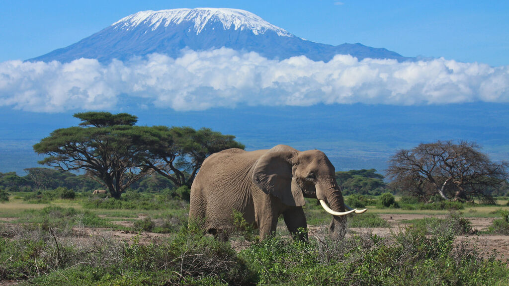 Vzpomínky na Afriku - fotografie