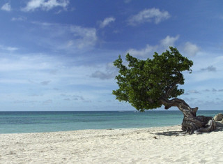 Aruba - ilustrační fotografie