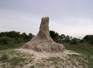 Botswana - ilustrační fotografie